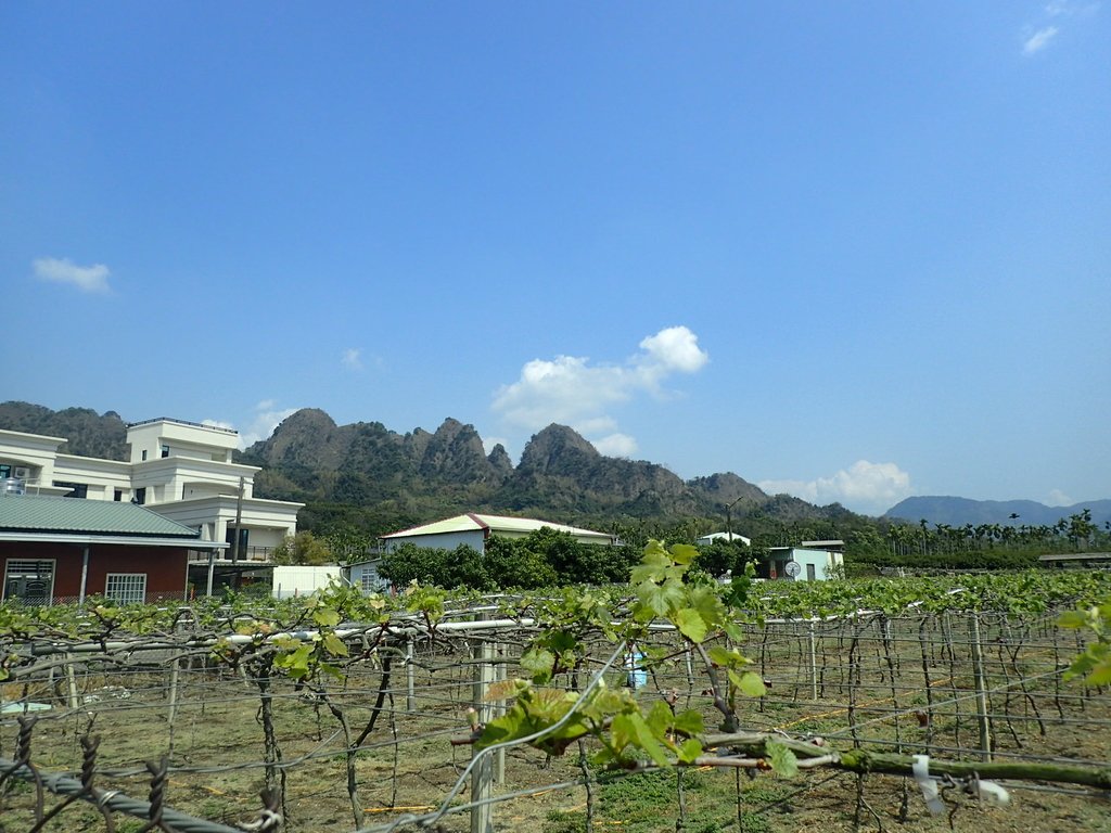 P3016036.JPG - 草屯平林  九九峰森林步道