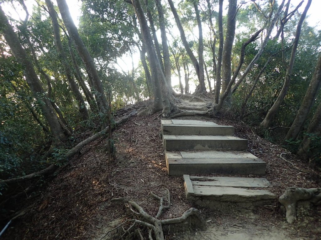 P1123671.JPG - 潭子 聚興山  新田登山步道