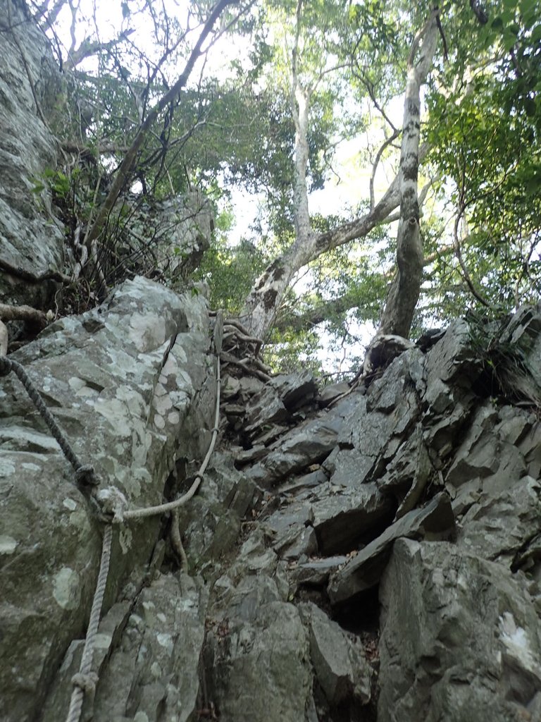 P3167347.JPG - 谷關七雄之  屋我尾山