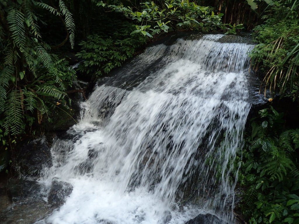 PB265517.JPG - 大同  松羅國家步道  (未竟)