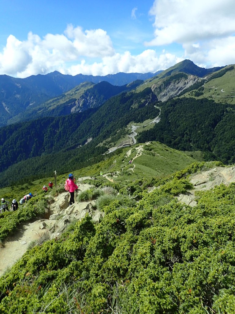 P7245960.JPG - 合歡山  北峰之美  (上)