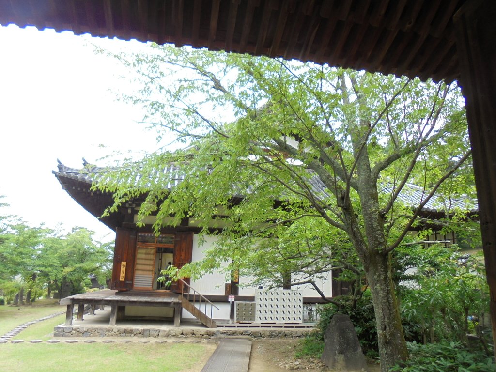 DSC03891.JPG - 奈良  東大寺