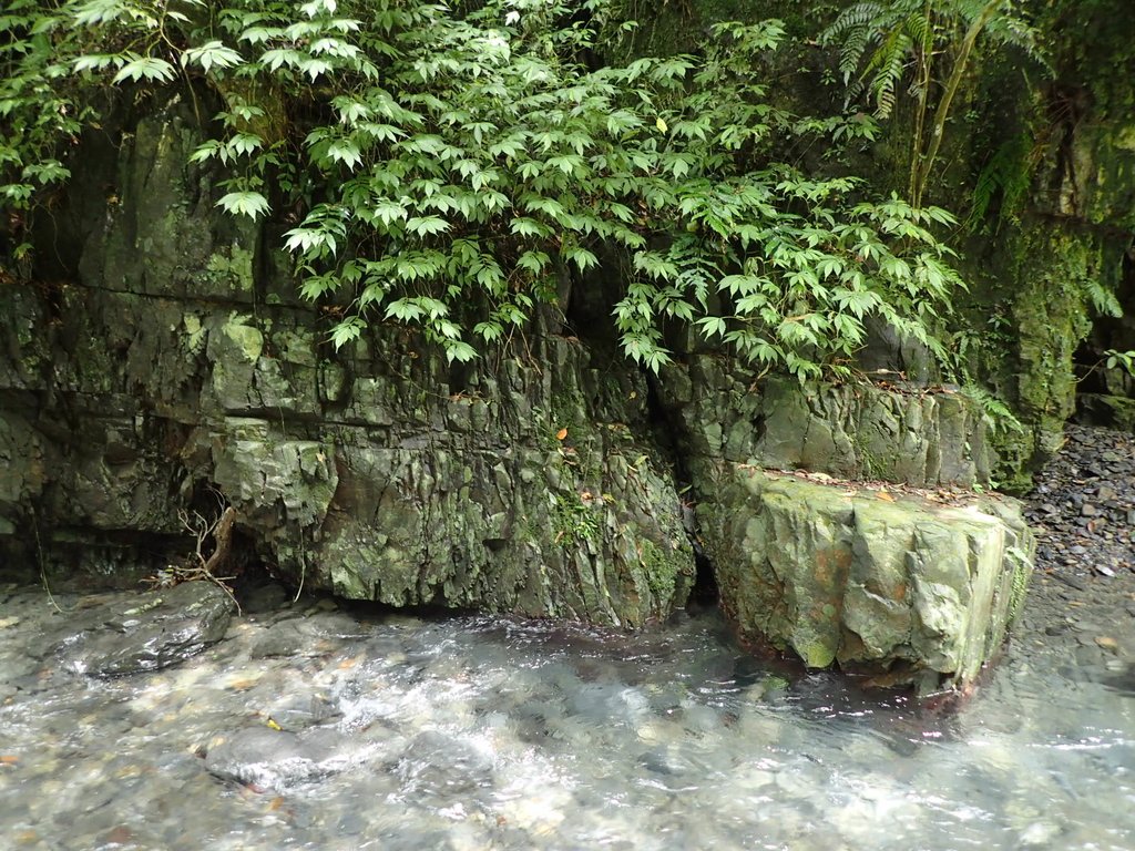 P9127727.JPG - 礁溪  林美石磐步道