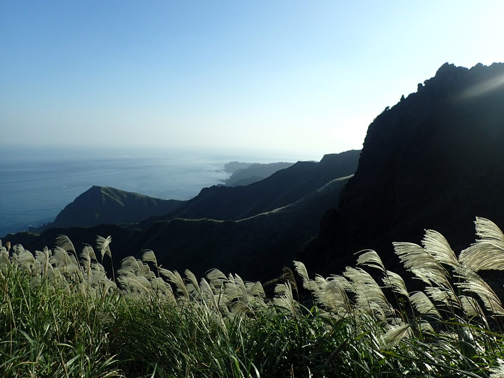 PC017821.JPG - 瑞芳  茶壺山芒花季