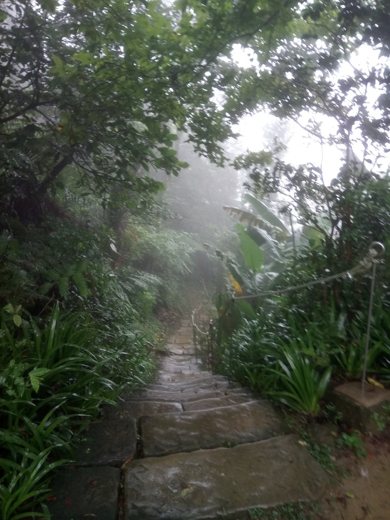 DSC_1733.JPG - 土城  天上山  登山步道