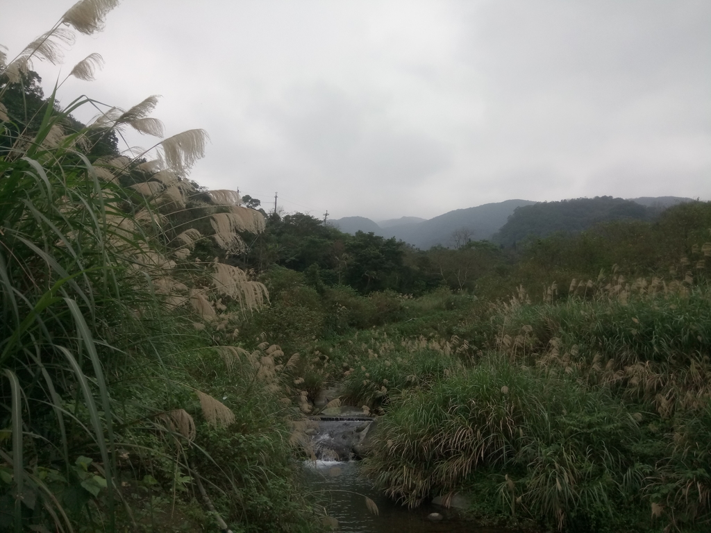 DSC_3349.JPG - 金山  大路崁古道