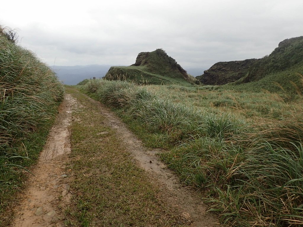 P1274351.JPG - 瑞芳  燦光寮古道初探