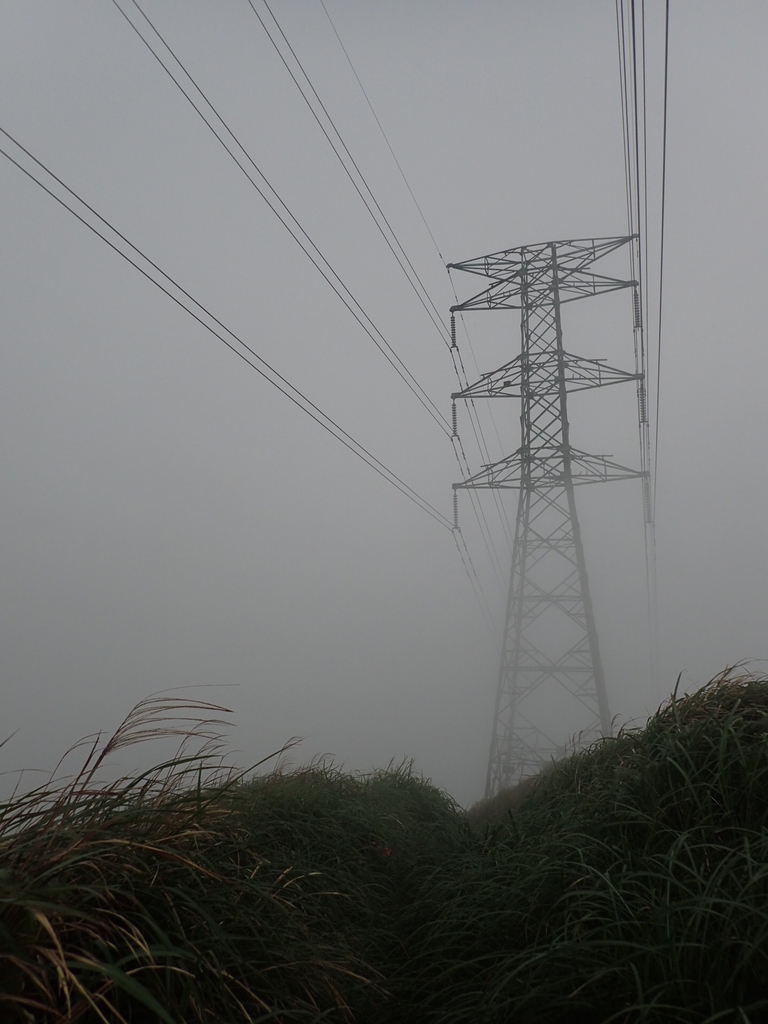 P1203445.JPG - 瑞芳  牡丹山