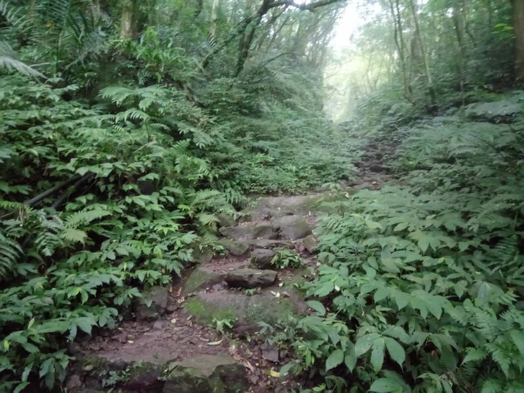 DSC_6193.JPG - 三峽  白雞山登山步道