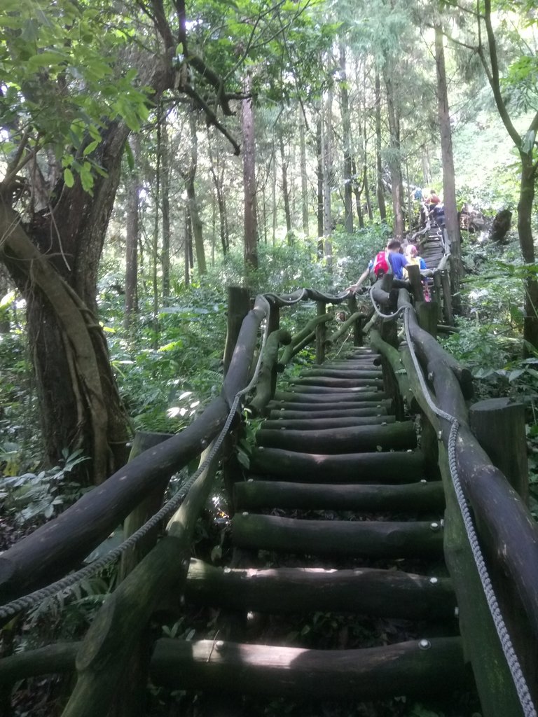 DSC_1249.JPG - 大坑四號步道  頭嵙山