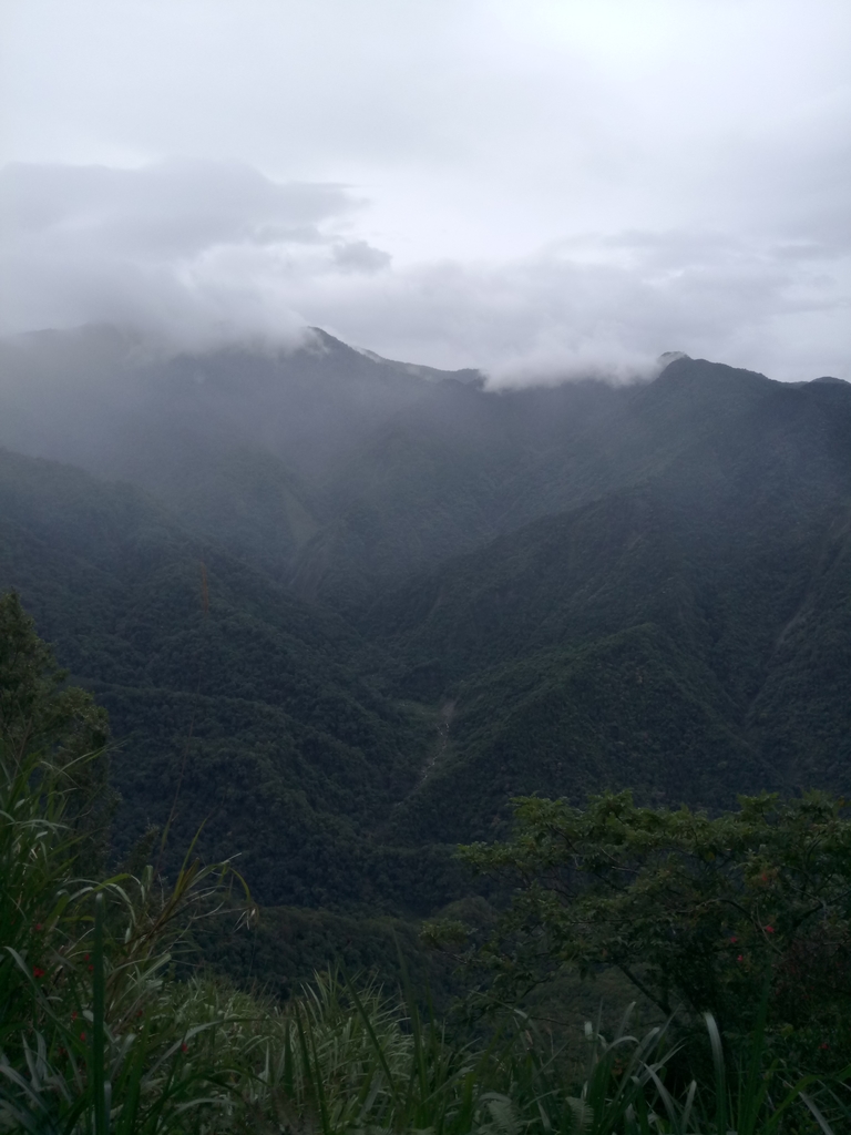 DSC_9519.JPG - 苗栗  泰安  虎山行