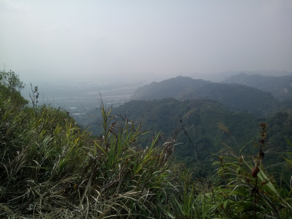 DSC_7367.JPG - 草屯平林  九九峰森林步道