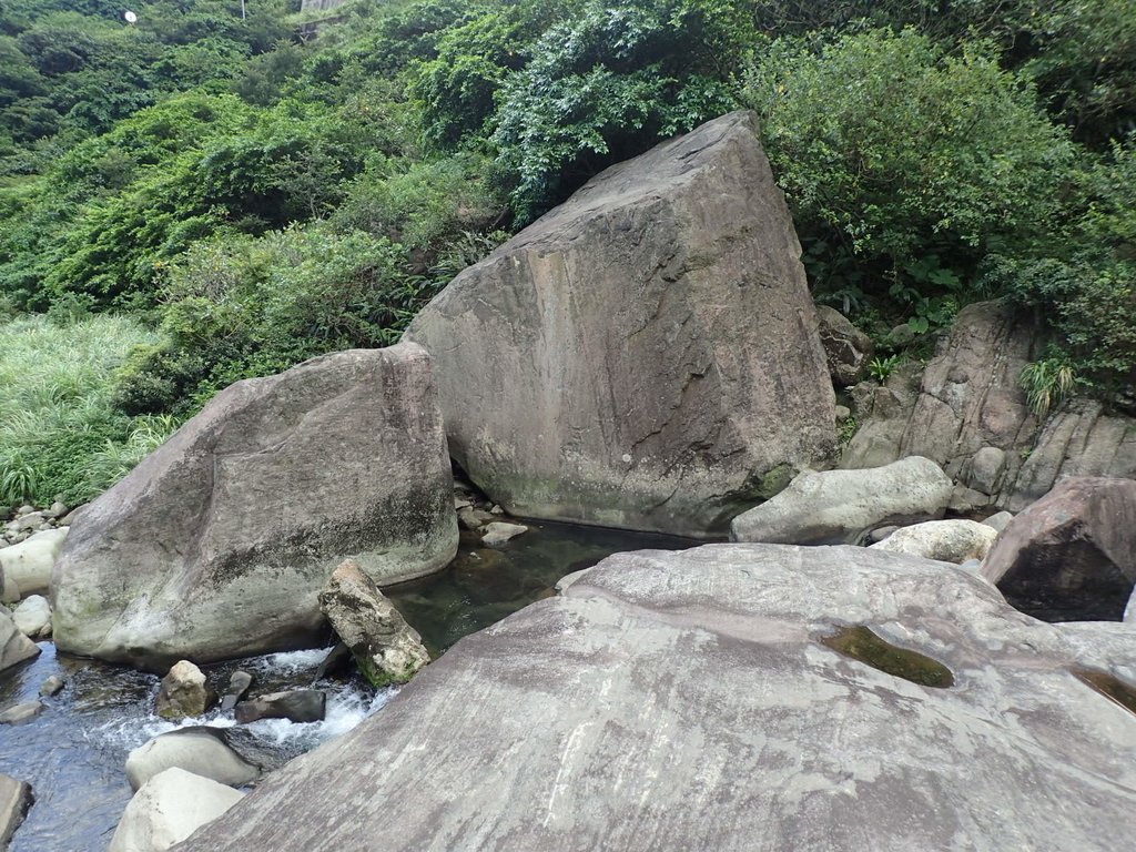 P8317622.JPG - 瑞芳  雷霆岩下之  溪谷風情