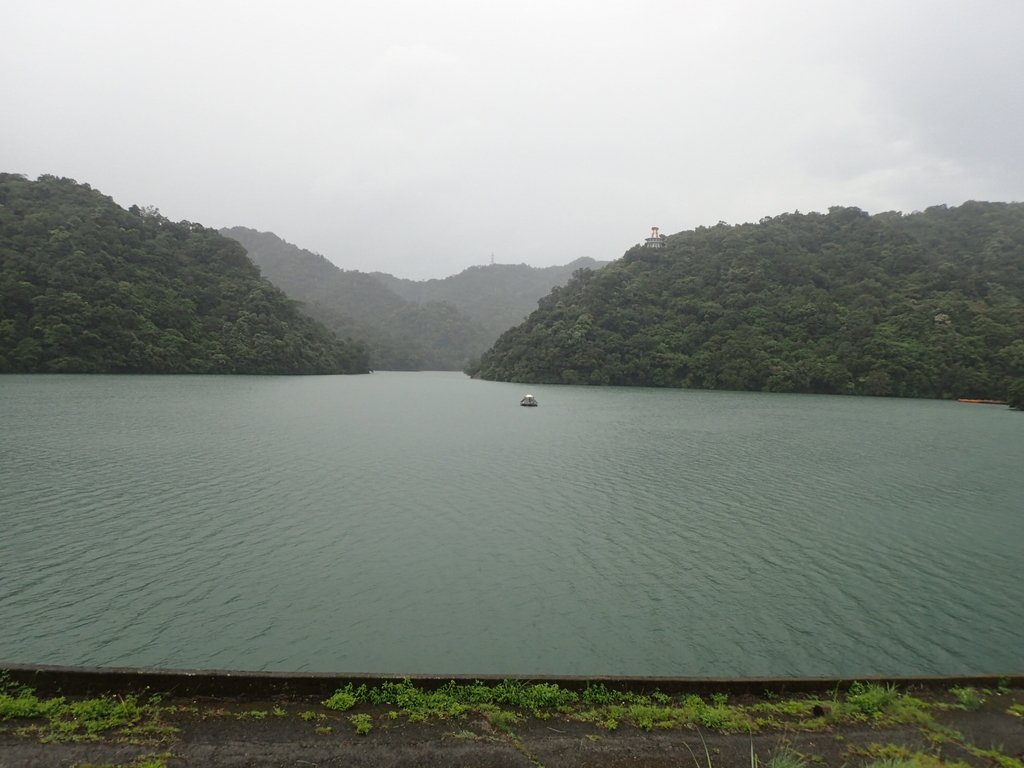 P8247014.JPG - 雨中漫遊  石門水庫