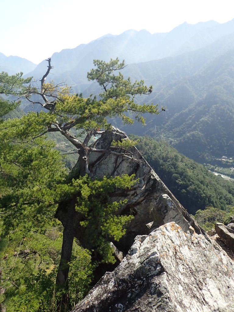 P3167237.JPG - 谷關  東卯山東南稜