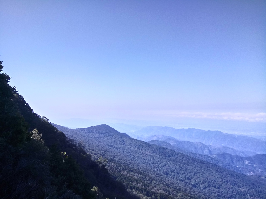 DSC_3623.JPG - 南庄  大坪林道  杜鵑嶺