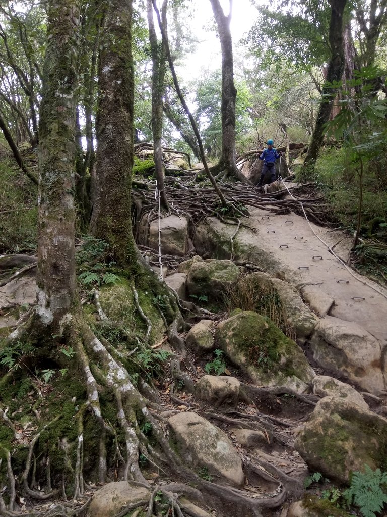 DSC_3731.JPG - 南庄  加里山