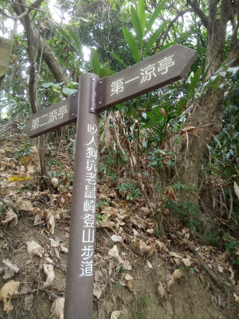 DSC_4455.JPG - 太平  三汀山  (望高寮)