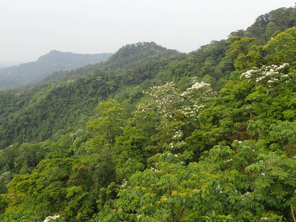 P4181809.JPG - 南庄  細湖頂  晴園山莊