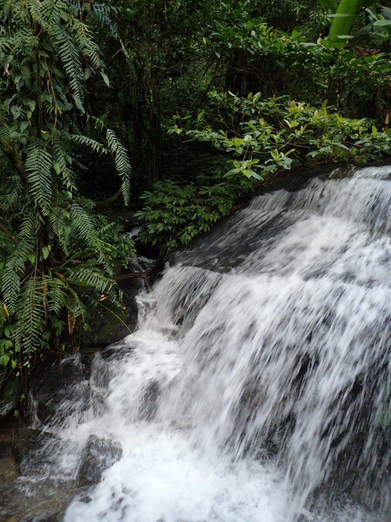 PB265519.JPG - 大同  松羅國家步道  (未竟)