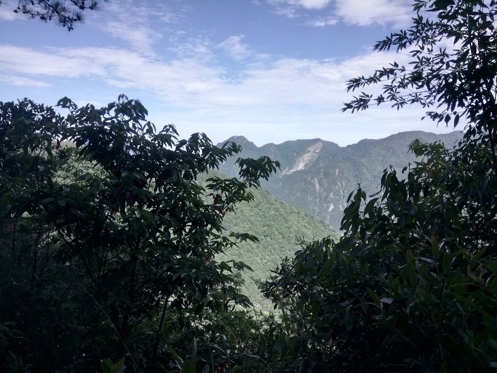 DSC_9899.JPG - 谷關七雄之  馬崙山  (下)