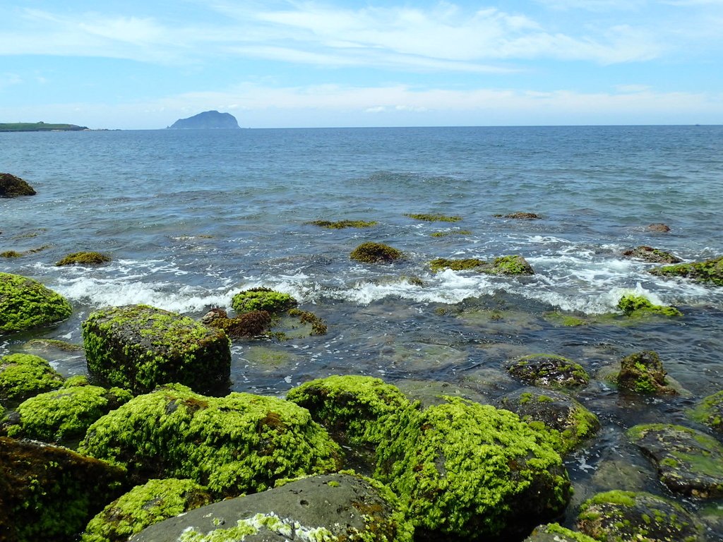 P6194620.JPG - 瑞芳  深奧神秘海岸之美