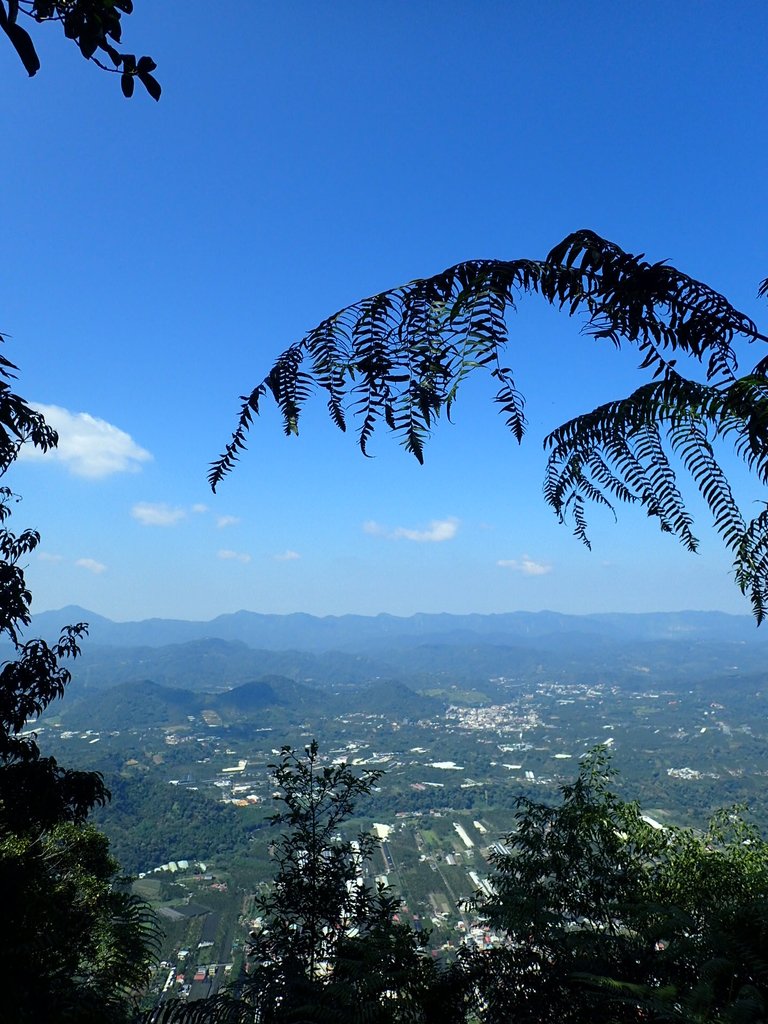 PA040393.JPG - 魚池  過坑山登山步道