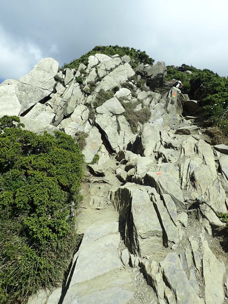 P7245961.JPG - 合歡山  北峰之美  (上)