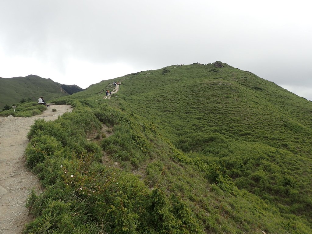 P7246062.JPG - 石門山步道