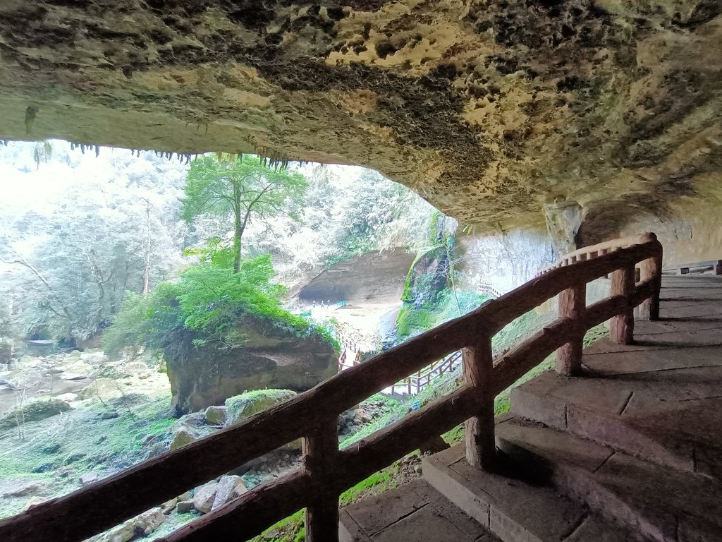 IMG20210205122925.jpg - 竹山  杉林溪森林遊樂園  路過