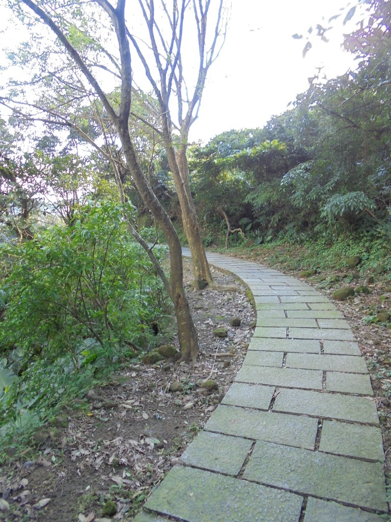 DSC00976.JPG - 九份  琉榔路觀光步道