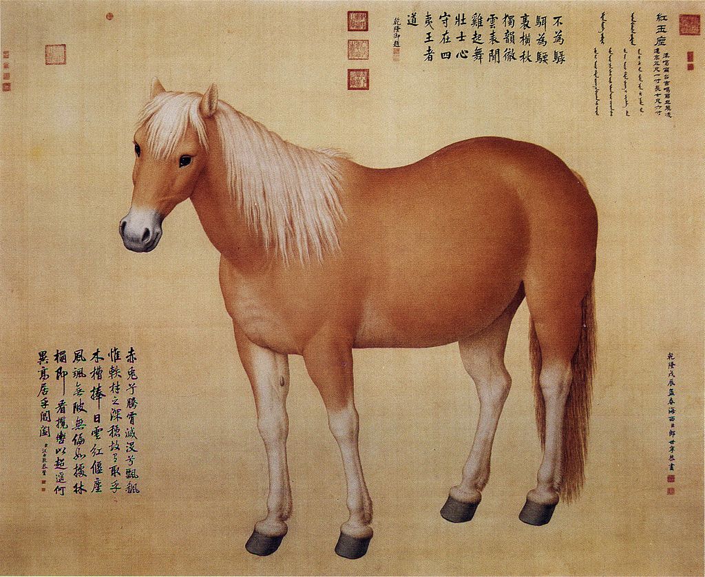 1024px-Horse_Hongyuzuo.jpg - 郎世寧的工筆寫真畫