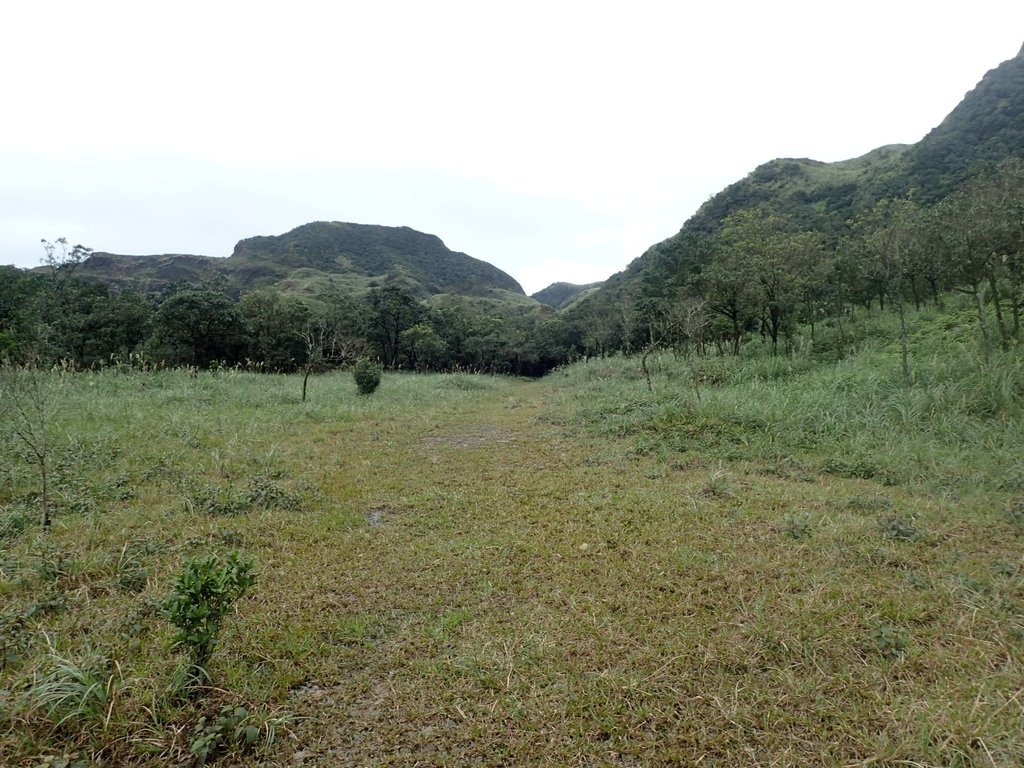 P1274355.JPG - 瑞芳  燦光寮古道初探