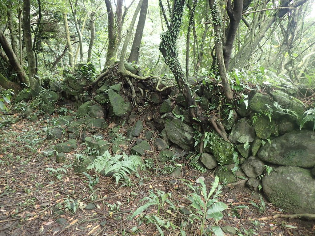 P1274432.JPG - 瑞芳  燦光寮古道初探