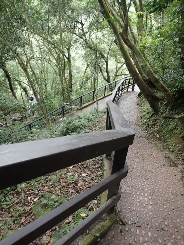 P3028995.JPG - 三峽  滿月圓森林遊樂區