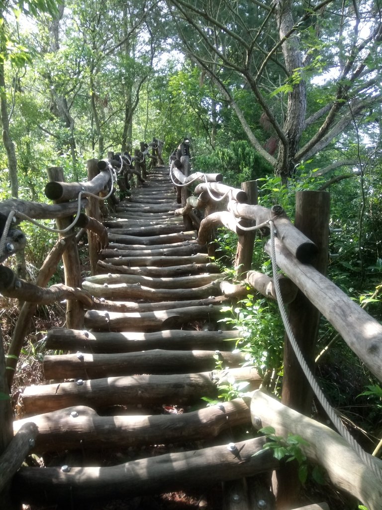 DSC_1253.JPG - 大坑四號步道  頭嵙山