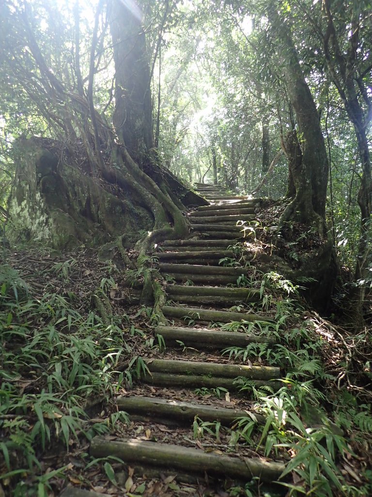 PA064397.JPG - 大湖  馬那邦山  (02)