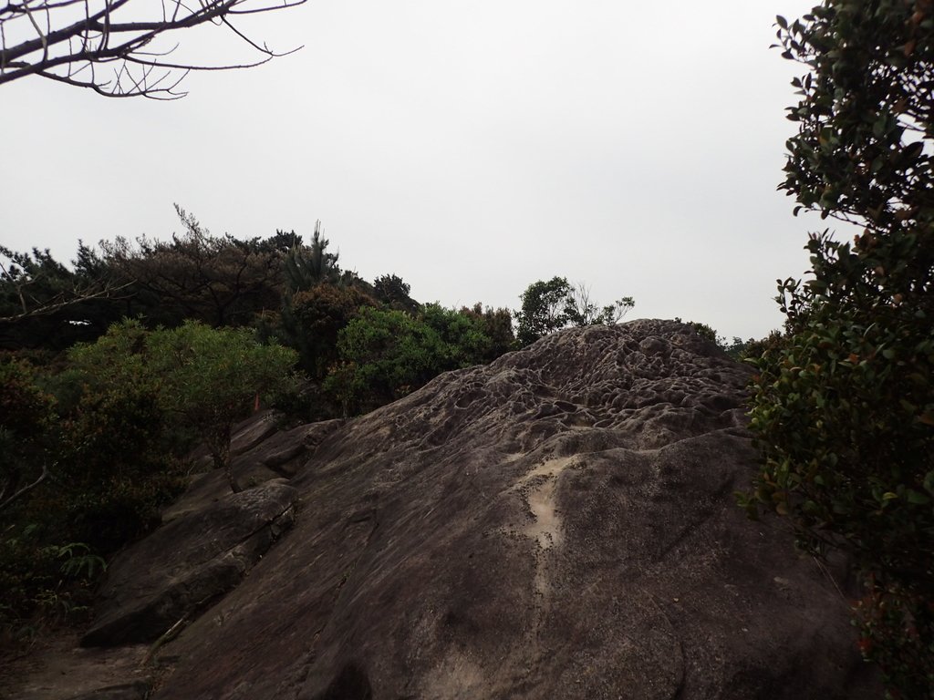 P3160056.JPG - 汐止  柯子林山  如意湖