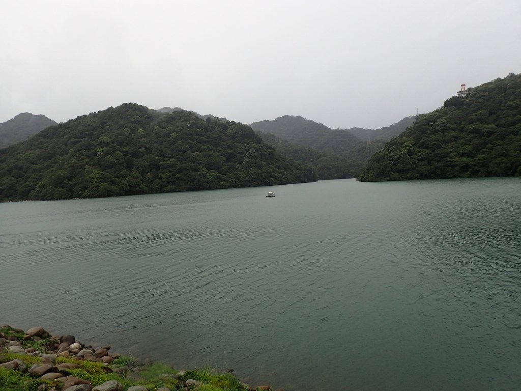 P8247018.JPG - 雨中漫遊  石門水庫