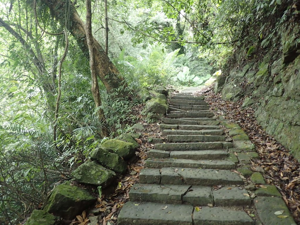 P1294516.JPG - 獅頭山  獅山古道  (01)