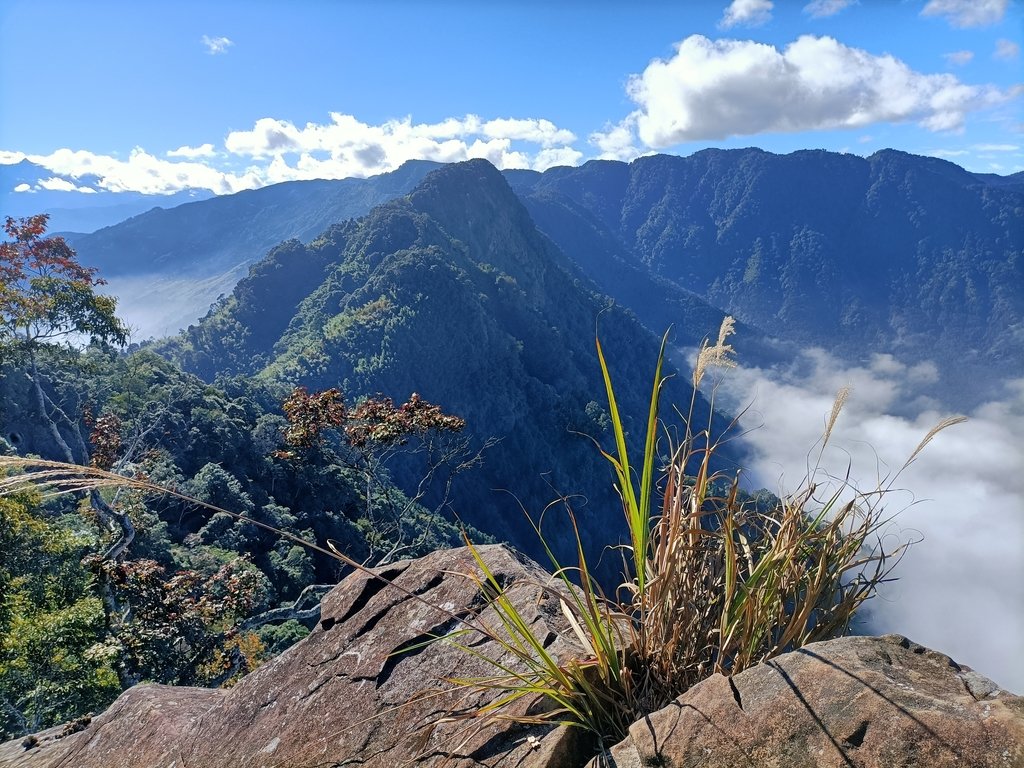 IMG20201205093225.jpg - 鹿谷  溪頭  南鳳凰山