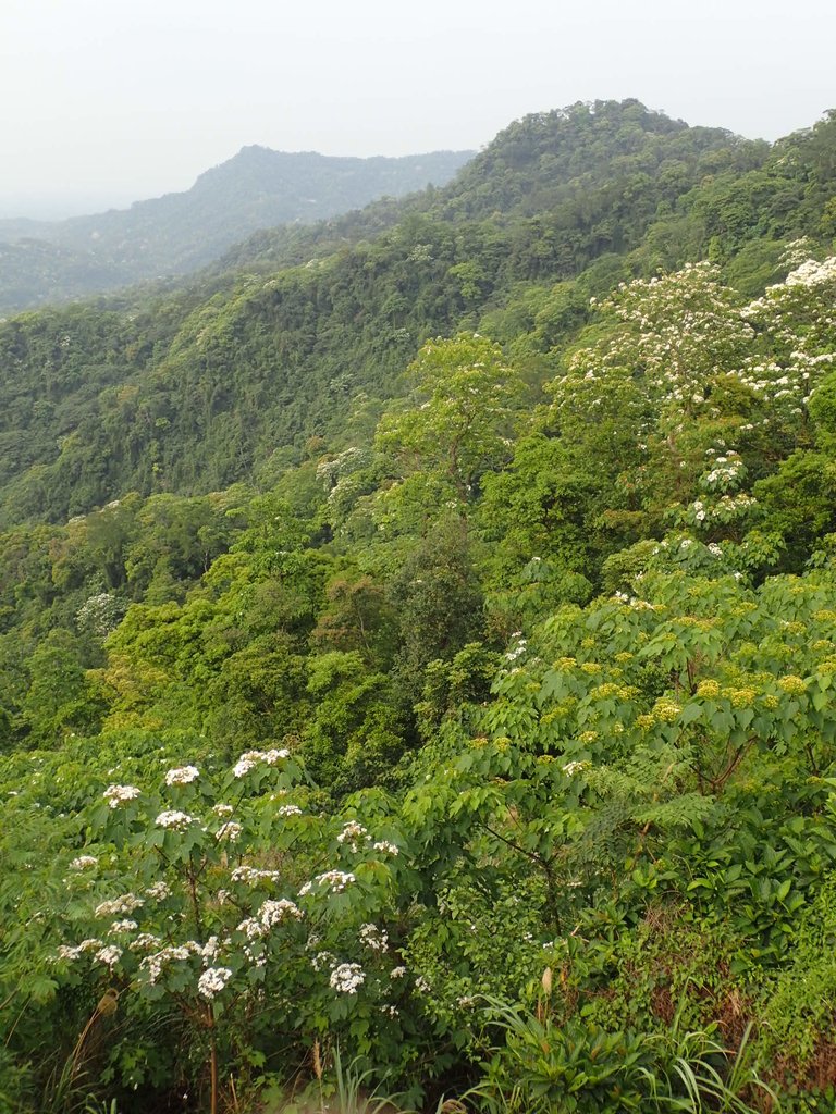 P4181811.JPG - 南庄  細湖頂  晴園山莊