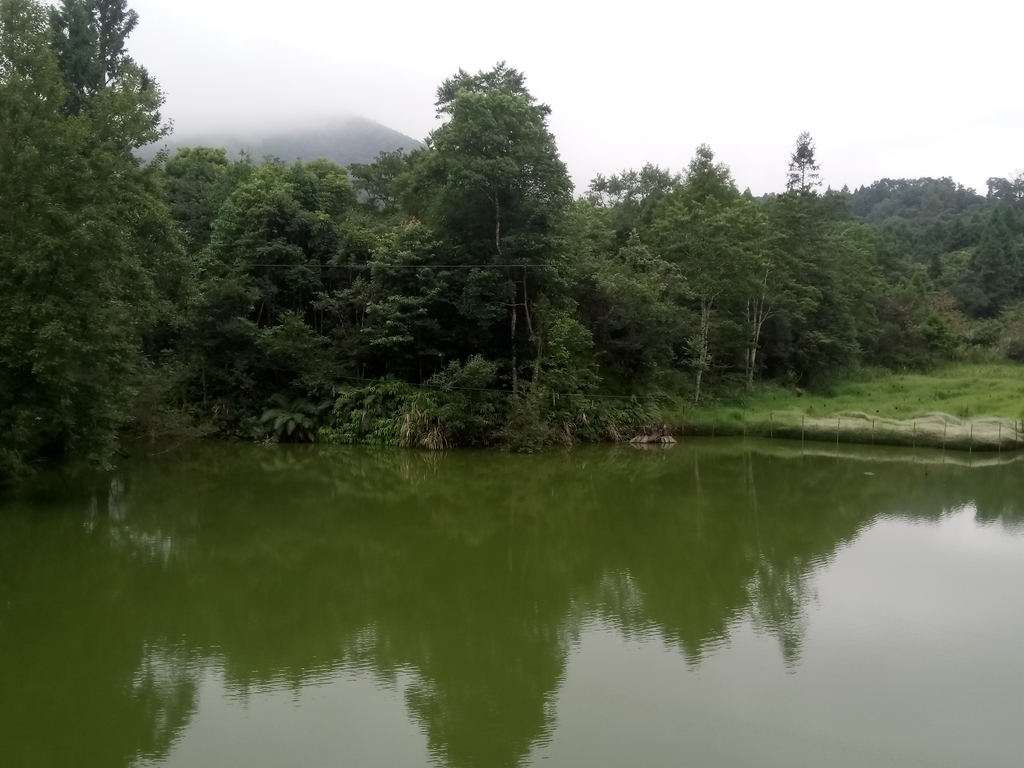 DSC_2949.JPG - 南庄  向天湖之  環湖步道