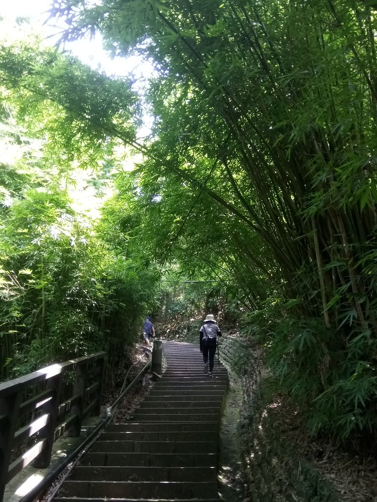 DSC_6851.JPG - 觀音山  風櫃斗湖登山步道