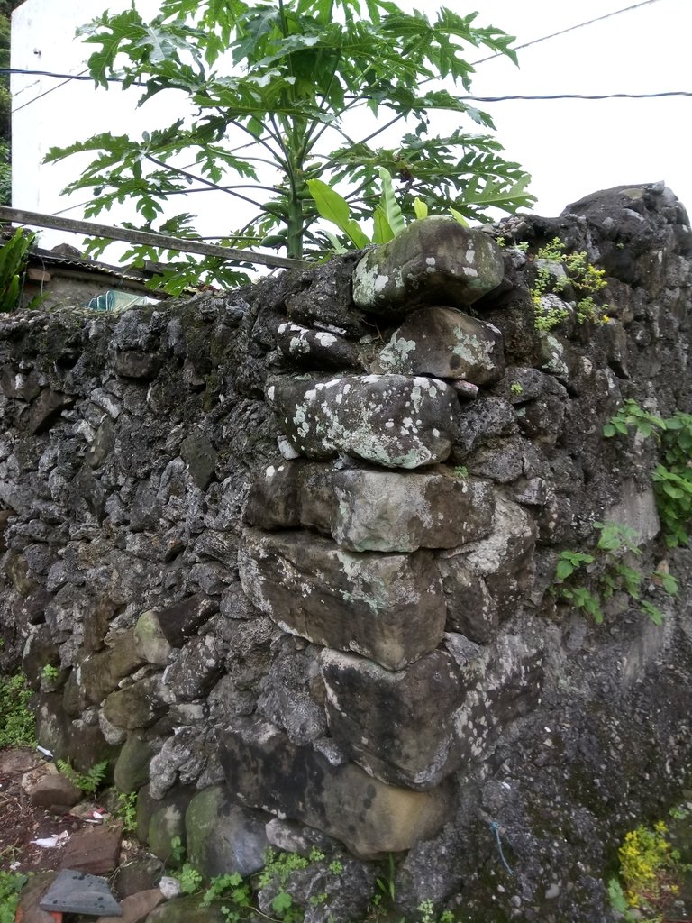 DSC_9248.JPG - 瑞芳  鼻頭角漁村  石頭屋風情