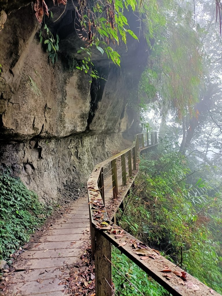 IMG20210108115923.jpg - 梅山  瑞峰村  竹坑溪步道