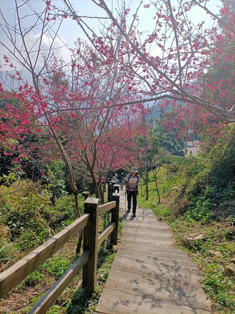 IMG20210130103415.jpg - 竹崎  獨立山登山步道