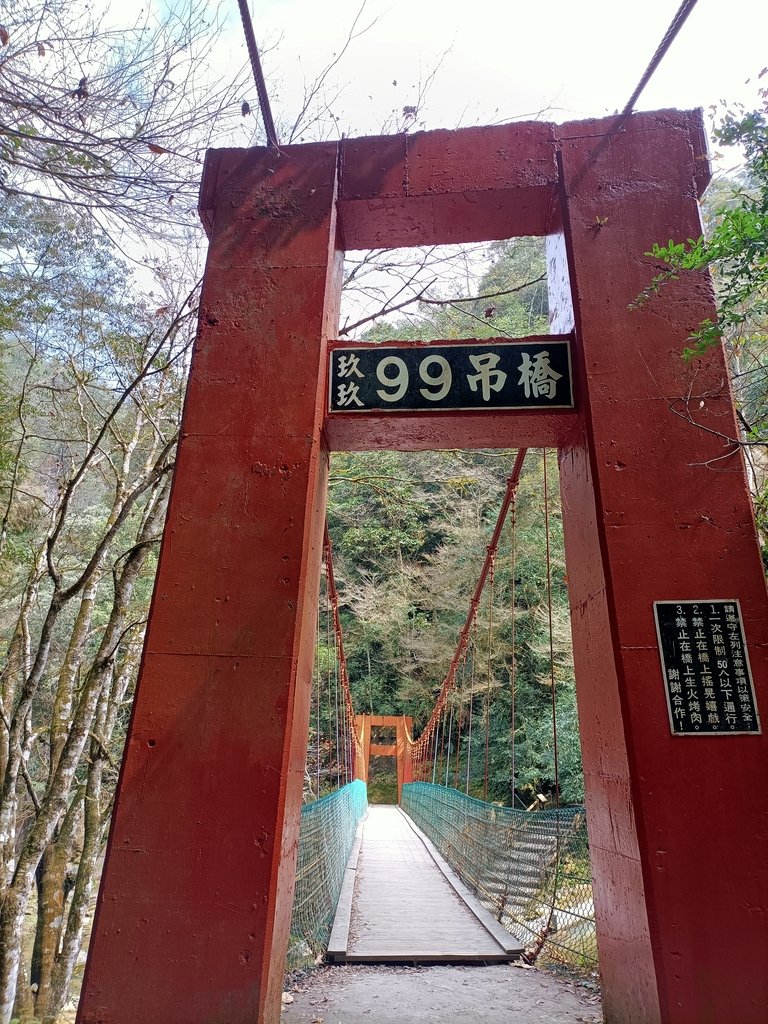 IMG20210205123151.jpg - 竹山  杉林溪森林遊樂園  路過