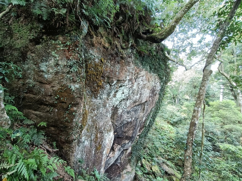 IMG20210403093344.jpg - 五峰  鵝公髻山登山步道  (01)