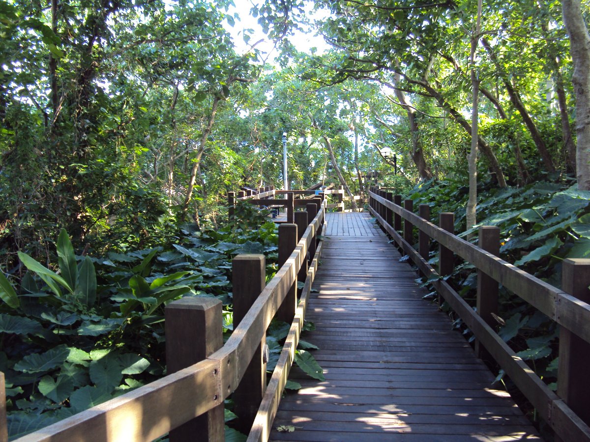 DSC01590.JPG - 小觀音山生態步道